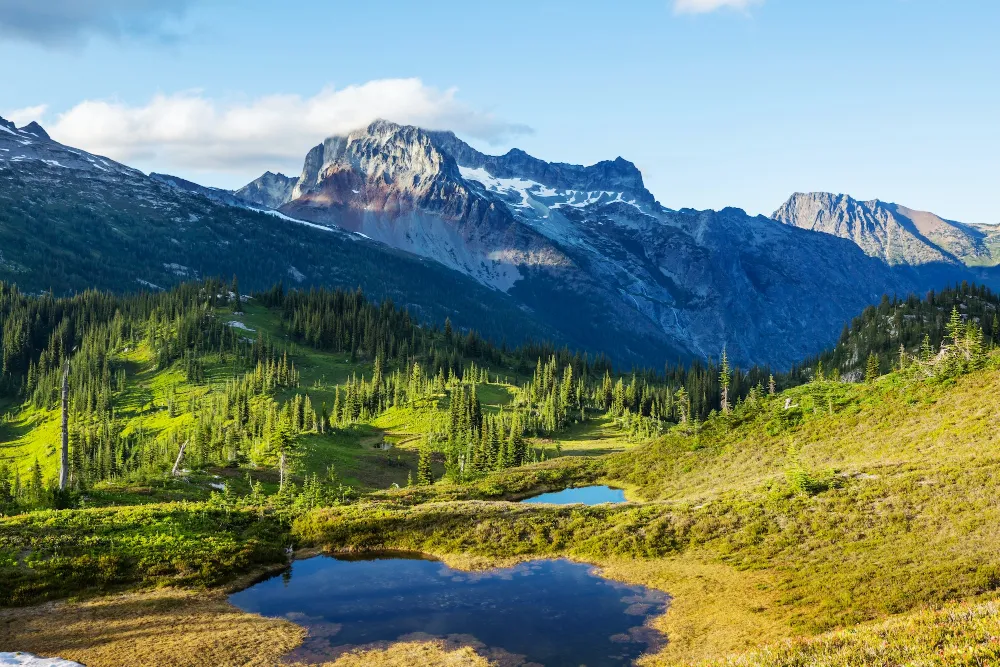 The Ultimate Washington State Hunting Guide 2024