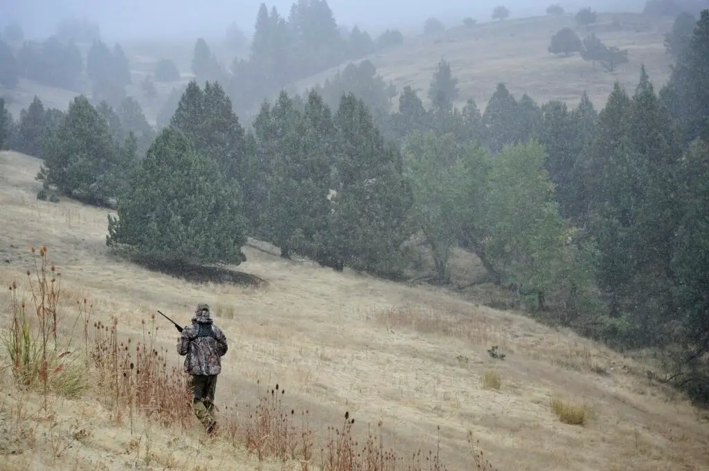 One deer hunter walking across field, John Day, Oregon, USA