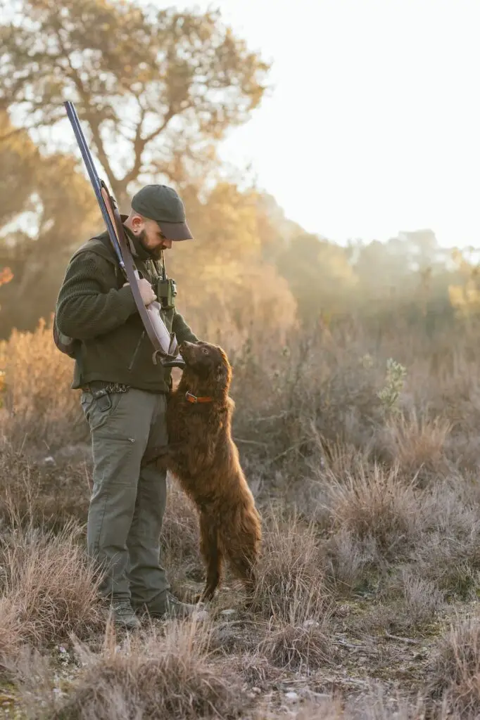 Hunter man hunting with his dog outdoors on the field