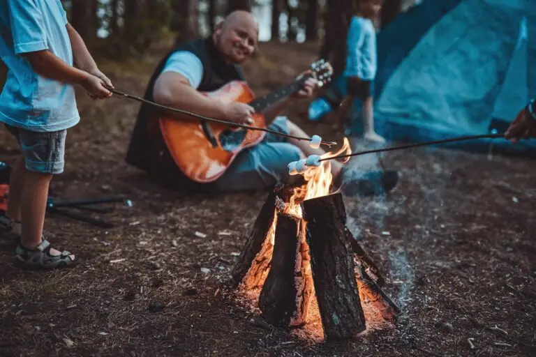 Boy toasting marshmellow and his father playing guitar in forest